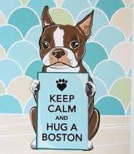 Boston Terrier